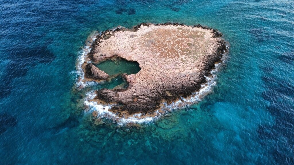 516587977_10237884646673695_4157783605900490377_n