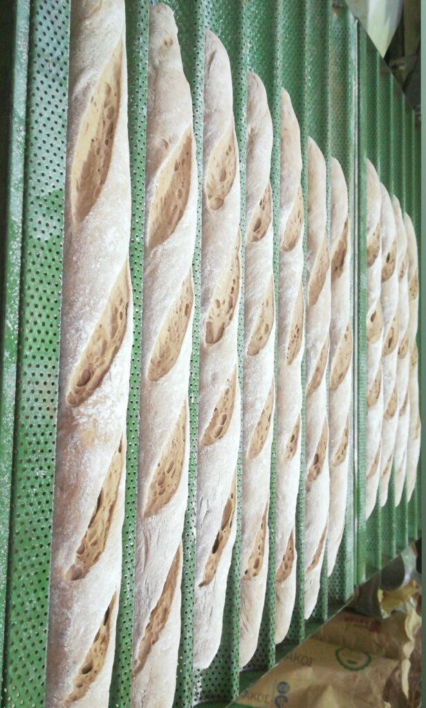 IMG_20181118_100620_076