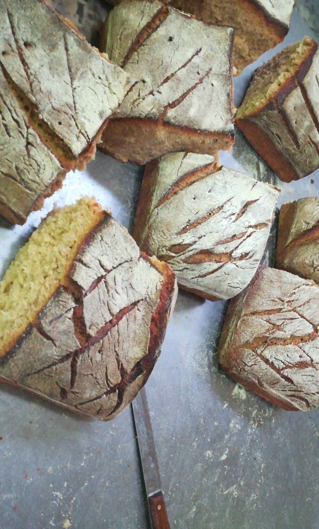 IMG_20190206_082537_442